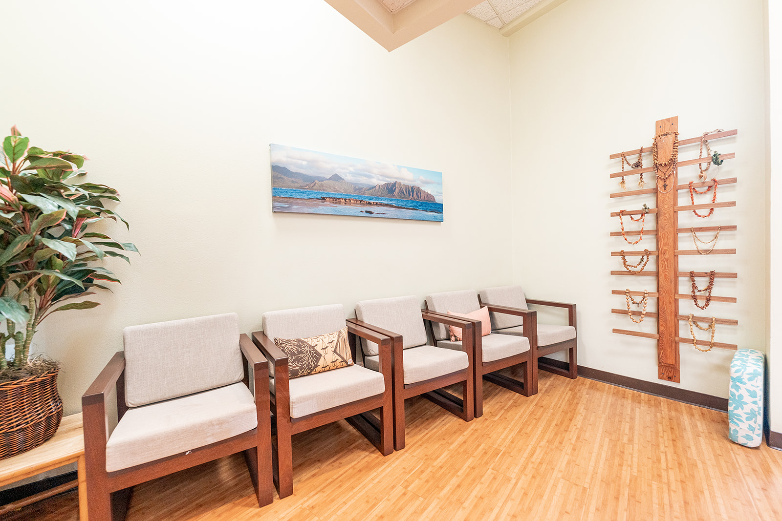 Pacific Dental & Implant Solutions Practice Waiting Room