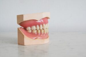 prosthodontist vs periodontist