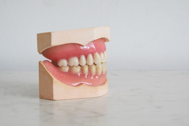 Prosthodontist vs Periodontist: Understanding the Differences